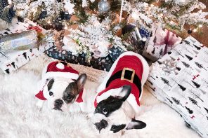 Merry Christmas Lovecats!