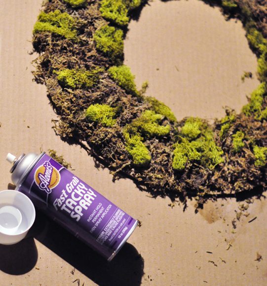 DIY Moss Potted Plant Cover love Maegan